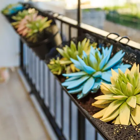 Valum Luxury Appartement