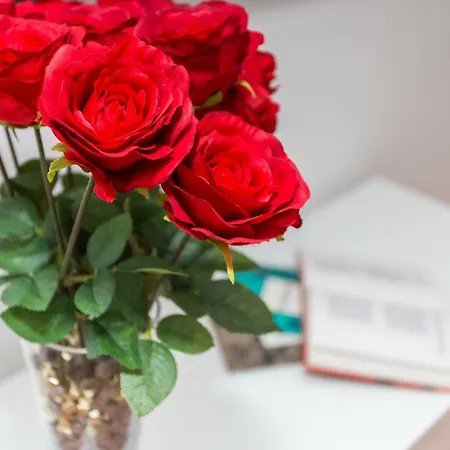 Valum Luxury Appartement *