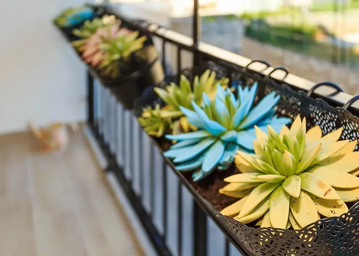 Valum Luxury Apartamento